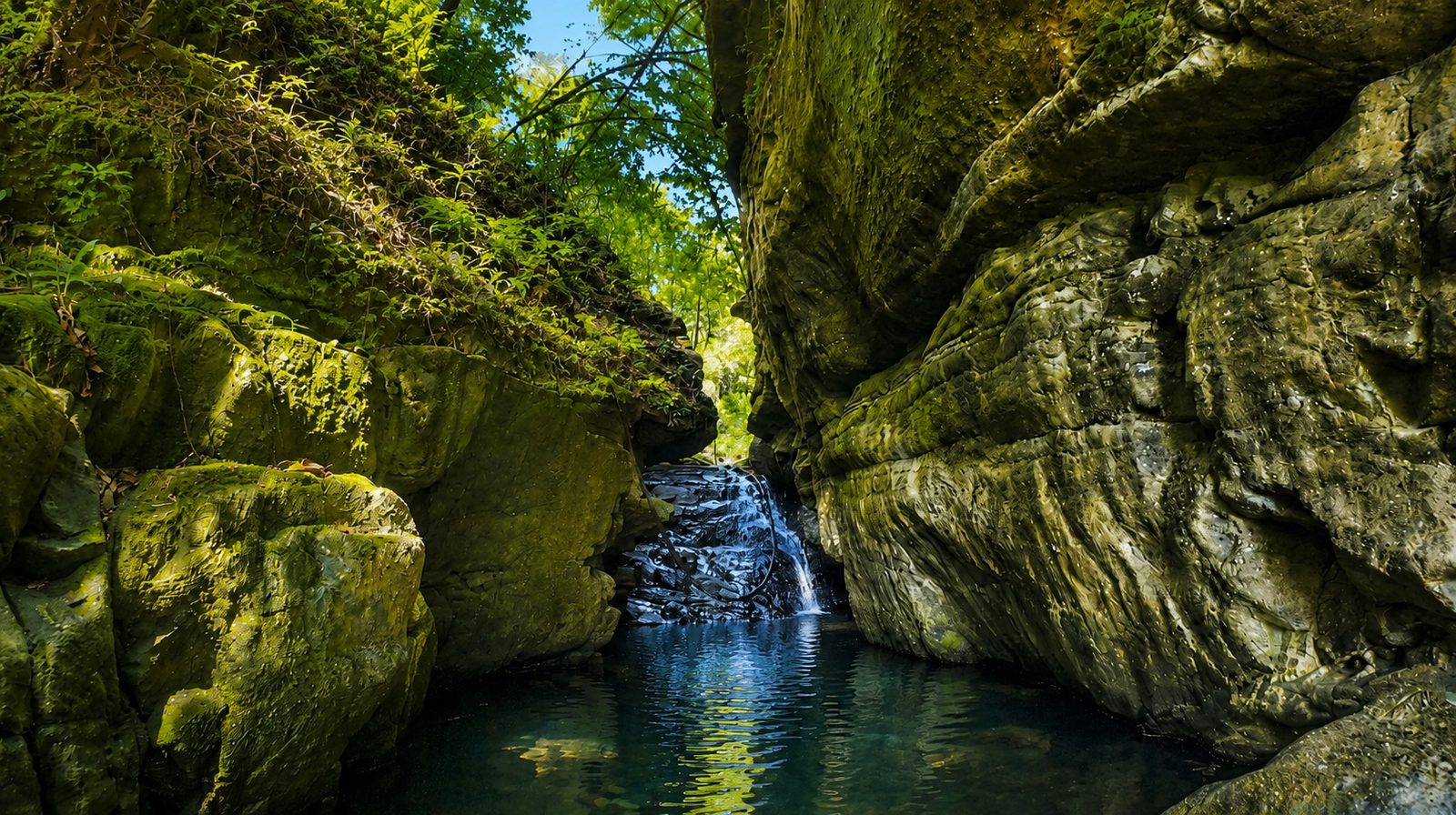 峡谷水潭与苔藓岩壁